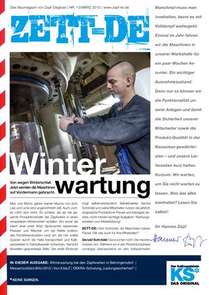 ZETT-DE Nr. 13 März 2013